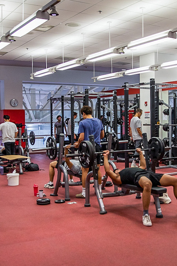 Bu Website